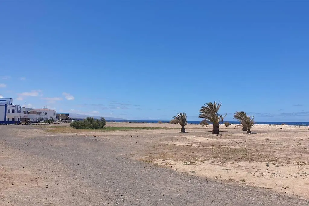 Ola Cotillo! Ver Y Sentir El Mar Desde Casa